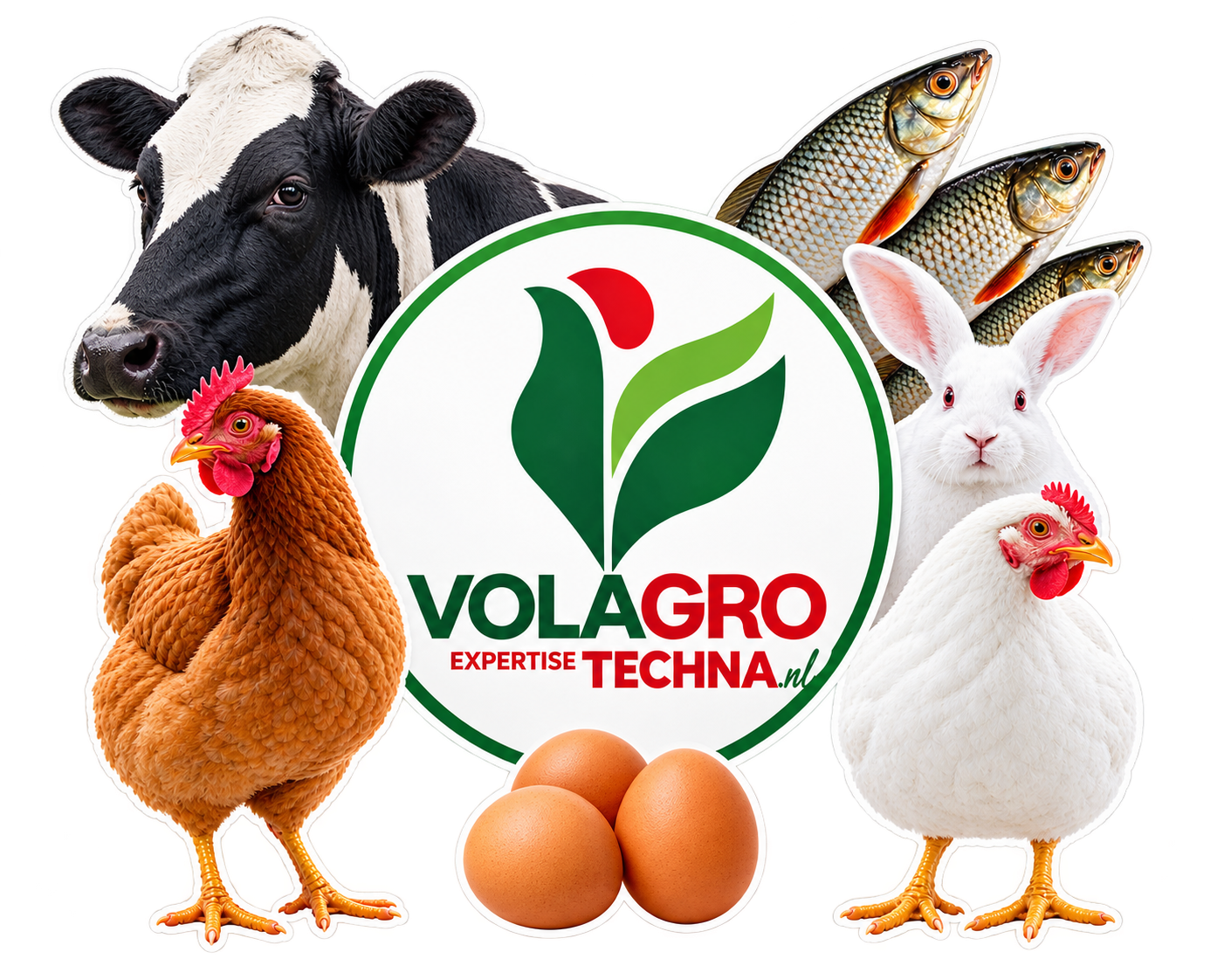 Cheptel avicole VOLAGRO